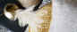 Preview: Casual 605-560
