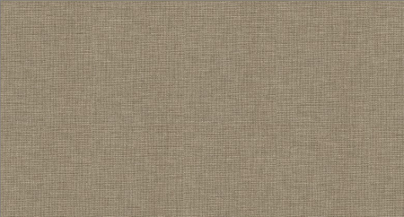 Linen Farbe 509