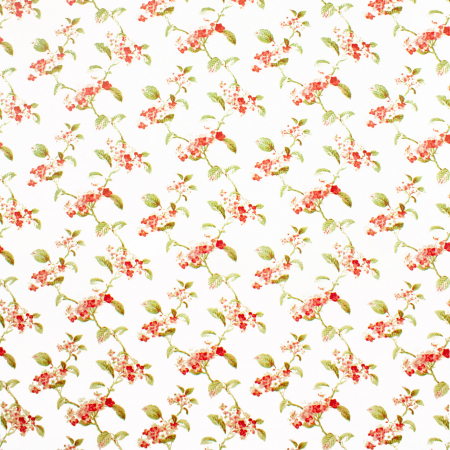 Hayward Cotton 01