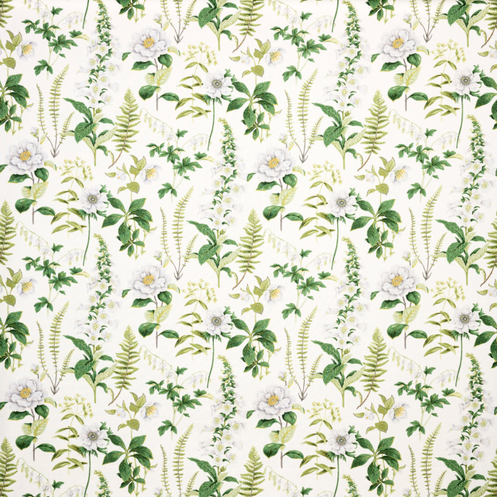 Floren Cotton 53