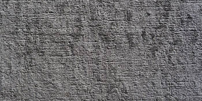 Horus 05 Gris