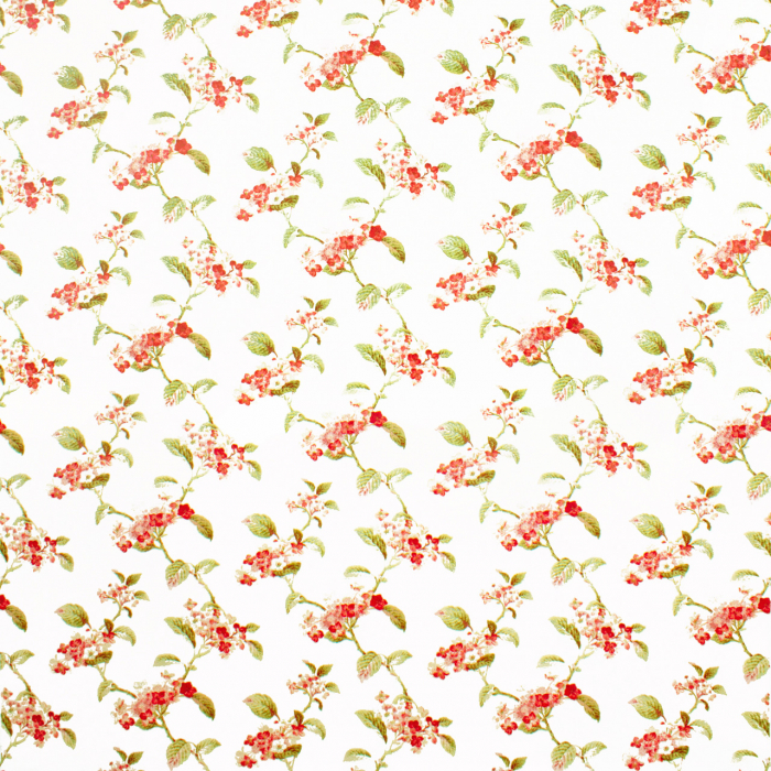 Hayward Cotton 01