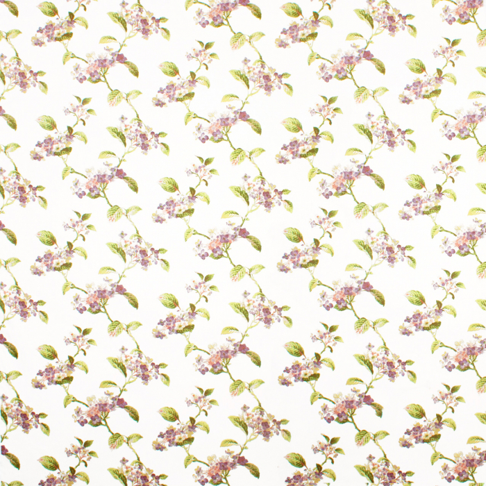 Hayward Cotton 03