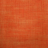 Acer-II Farbe 25